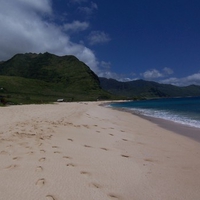 beach in the morning