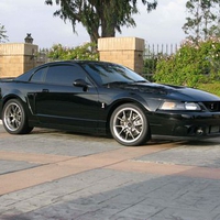 2004 Mustang Cobra