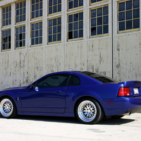 2004 Mustang Cobra