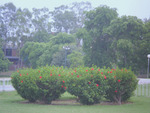 Park in Lahore