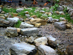 Rocks in park
