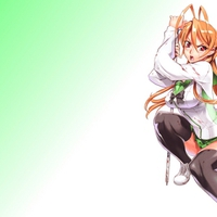 High School Of The Dead