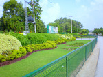 Park outer view