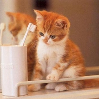 HAS DENTAL APPOINTMENT TODAY