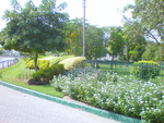 Park