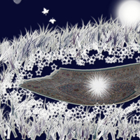 the star on the carpet on the ground!!!