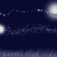 the moon smiles for a fragile tiger