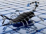Scorpion Bot
