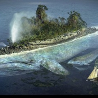 Island Whale