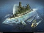 Island Whale