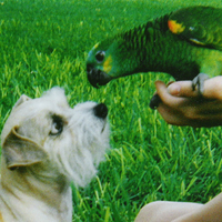 I see you down there