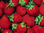 strawberries