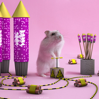 Herr_Hildezart_pyromania