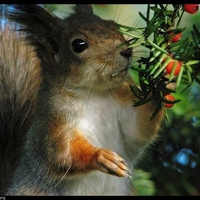 this smells goood..!!!