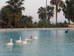 City, Turkey, Mersin, Park