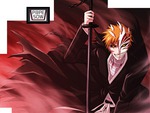 Bleach