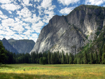 Yosemite Meadows