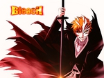 Bleach