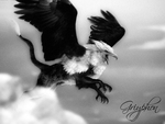 Gryphon