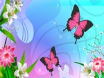 Adoring Pink Butterflies