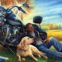Bikers best friend