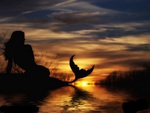 Mermaid at sunrise