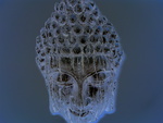 Frozen Buddha Head