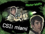 Mister Wolfe