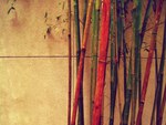 vintage bamboo