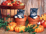 Halloween Kittens
