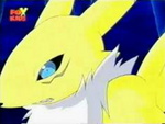 Renamon attack