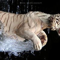 You Can Feel The Power!