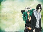 bleach nel and ulquoirra