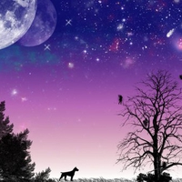 A Boxer in Fairyland