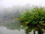 MISTY LAKE