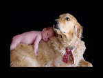 Dog and a baby