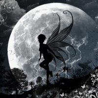 Moon Faerie