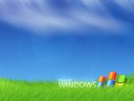 Windows XP