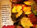 autumn thought
