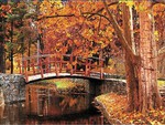 autumn bridge