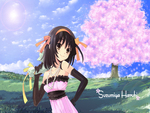 Sakura - Haruhi !!