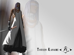 anime bleach kaname tousen