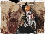 Bleach