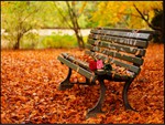 romantic autumn