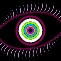 the colorful eye
