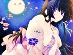 Moonlight Sakura