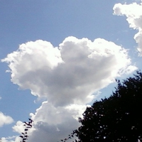 Heart of the sky