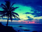 Blue Sunset