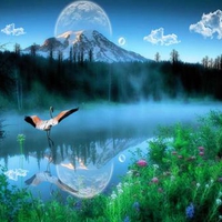 Lake of the flamingos