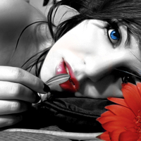 Red and Blue Beauty's